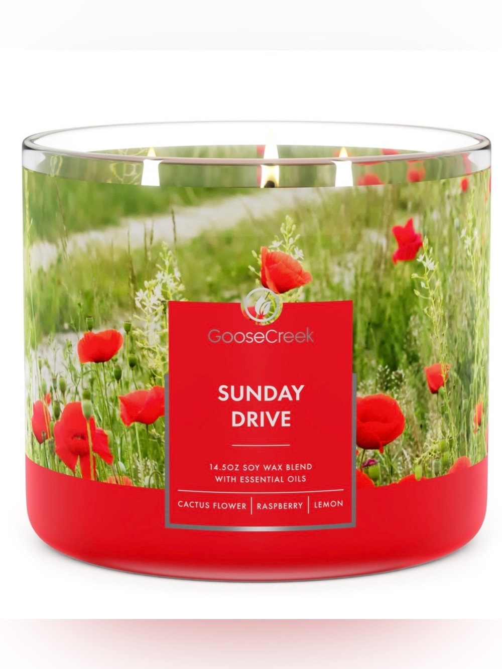 Goose Creek Sunday Drive 3 Wick Candle 14.5 oz Jar Cactus Flower Raspberry New